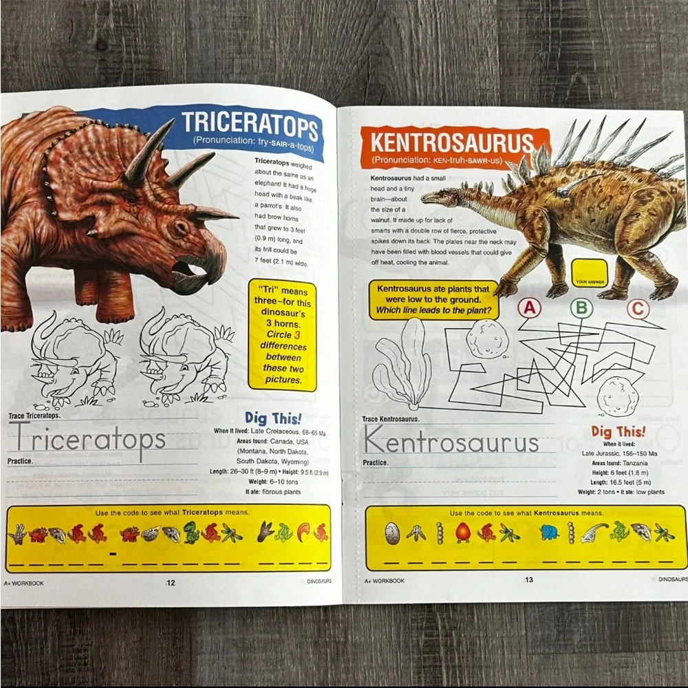 💞 New Dinosaur Discovery Educational Workbook